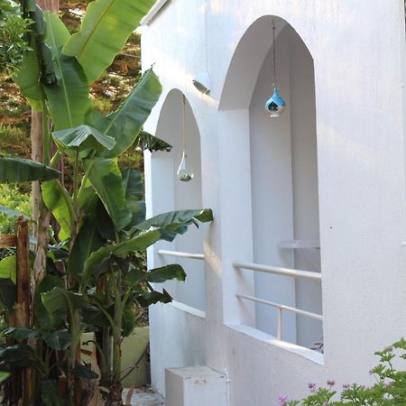 Carolina Apartments Crete Agia Pelagia Екстериор снимка