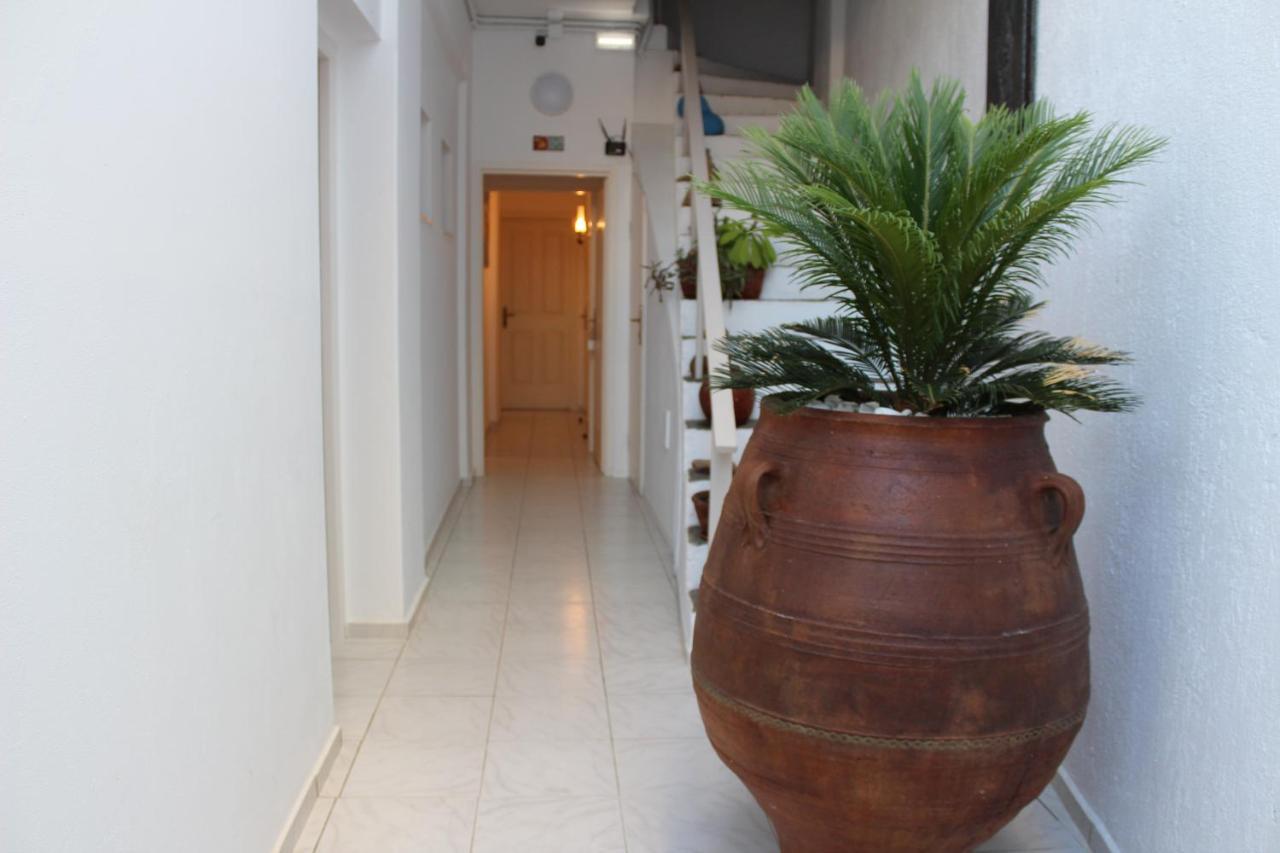 Carolina Apartments Crete Agia Pelagia Екстериор снимка