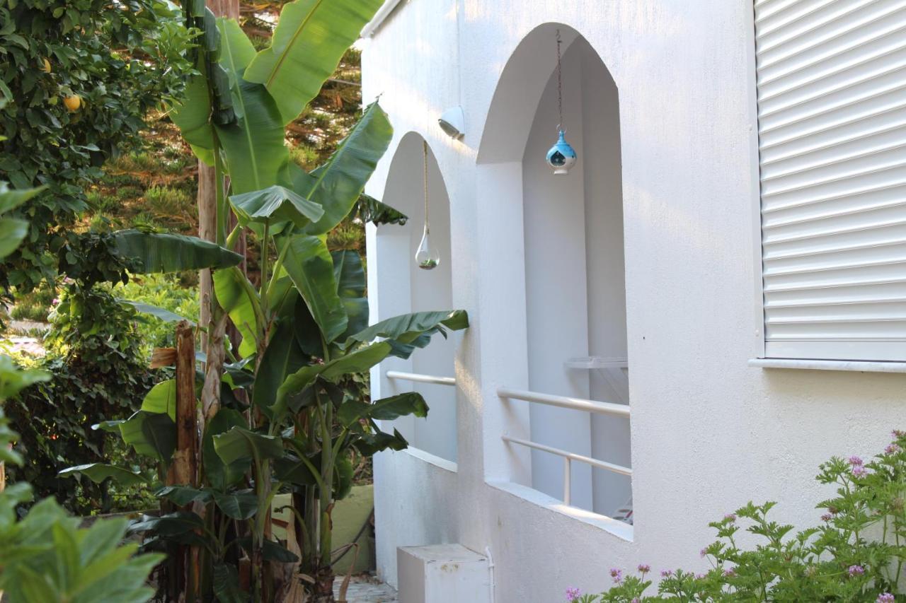Carolina Apartments Crete Agia Pelagia Екстериор снимка